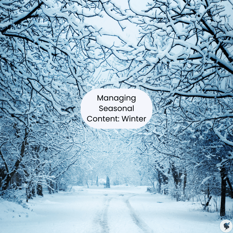 Strategies for Managing Seasonal Content:&nbsp;Winter