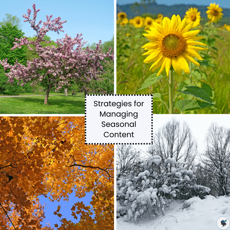 Strategies for Managing Seasonal&nbsp;Content