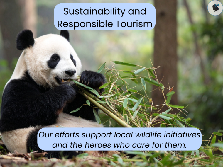 Sustainability and Responsible Tourism: giant panda