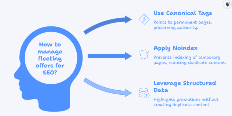 infograph: How to manage fleeting offers for SEO?